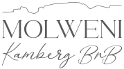 Molweni B&B Logo