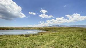 View across the landscape on route to caracal cave