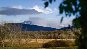 View from bedrooms of snow on Giants Castle